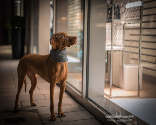 KerliHam_Foto | NEU. NEU. NEU. Nachtfotografie | Paarfotograf auf alleFotografen