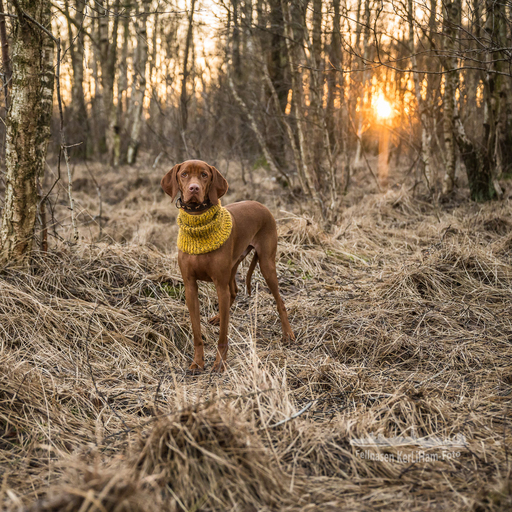 KerliHam_Foto | Natur pur | Paarfotograf auf alleFotografen