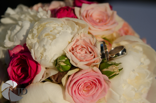 Thomas Dettweiler | Hochzeitsfotografie | Stockfotograf auf alleFotografen