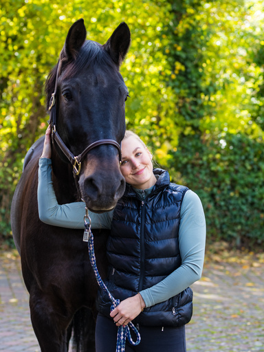 cms Fotowelt | Pferde | Portraitfotograf auf alleFotografen