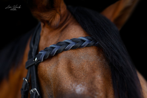 Lara Hück Fotografie  | B2B/Produktfotografie | Pferdefotograf auf alleFotografen