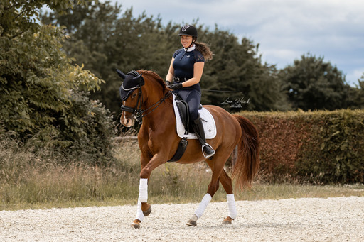 Lara Hück Fotografie  | Pferdefotografie | Paarfotograf auf alleFotografen