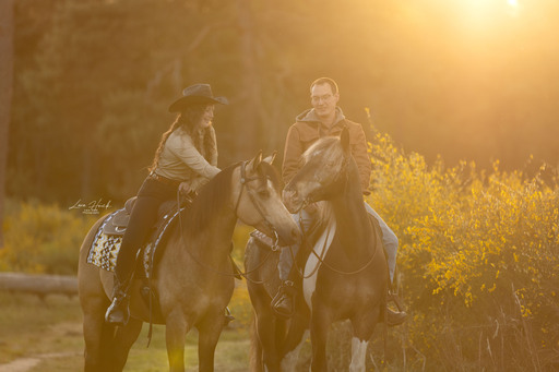 Lara Hück Fotografie  | Pferdefotografie | Tierfotograf auf alleFotografen