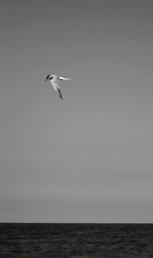 Olaf Eckhardt | Animals | Tierfotograf auf alleFotografen