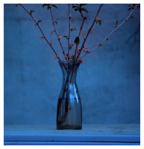 Olaf Eckhardt | Shapes | Abiballfotograf auf alleFotografen