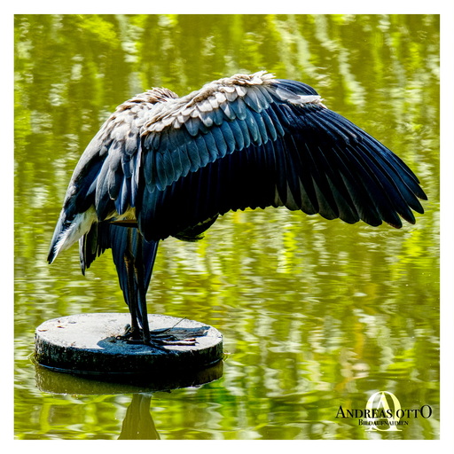 ao_bildaufnahmen | Meine Arbeiten | Interiorfotograf auf alleFotografen