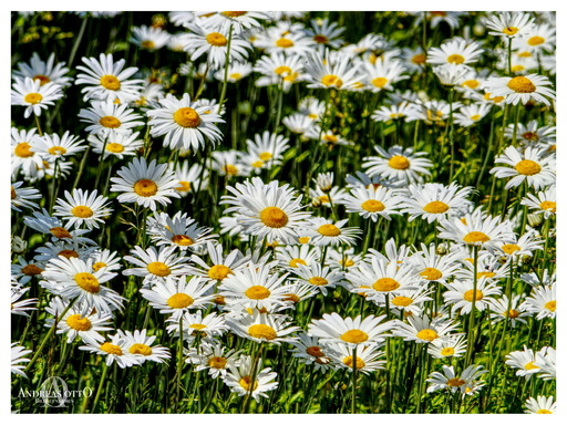 ao_bildaufnahmen | Meine Arbeiten | Industriefotograf auf alleFotografen