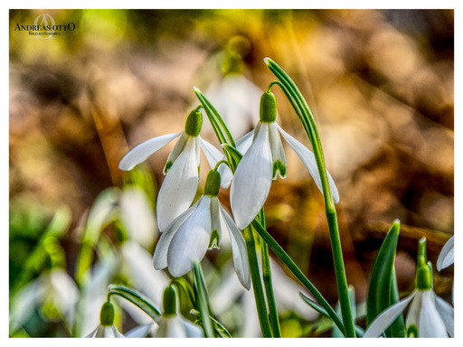 ao_bildaufnahmen | Meine Arbeiten | Industriefotograf auf alleFotografen
