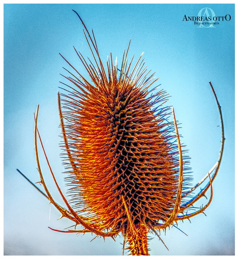 ao_bildaufnahmen | Meine Arbeiten | Kunstfotograf auf alleFotografen