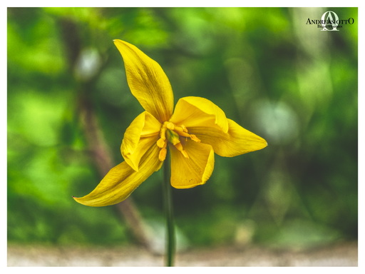 ao_bildaufnahmen | Meine Arbeiten | Kunstfotograf auf alleFotografen