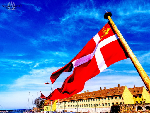 ao_bildaufnahmen | Meine Arbeiten | Pferdefotograf auf alleFotografen