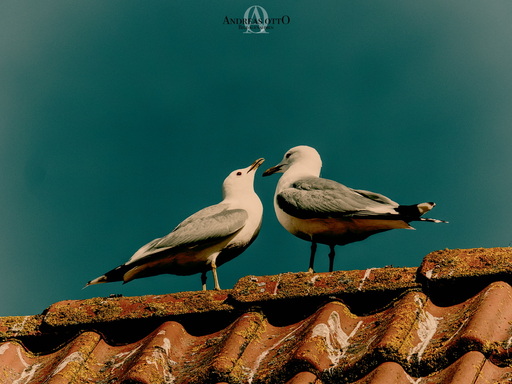 ao_bildaufnahmen | Meine Arbeiten | Industriefotograf auf alleFotografen