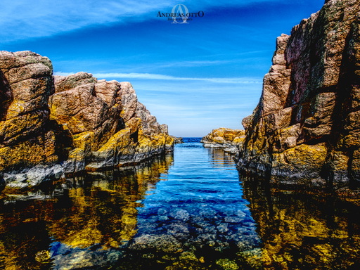 ao_bildaufnahmen | Meine Arbeiten | Hundefotograf auf alleFotografen