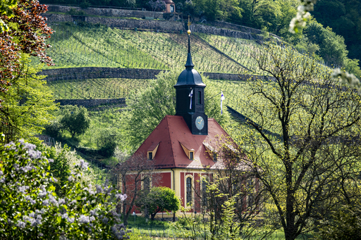 LeglerMedia.NET | Dresden | Landschaftsfotograf auf alleFotografen
