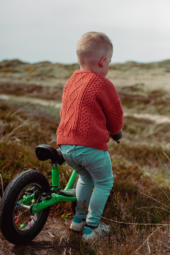 Vivianlee_Photographie | Family | Babyfotograf auf alleFotografen