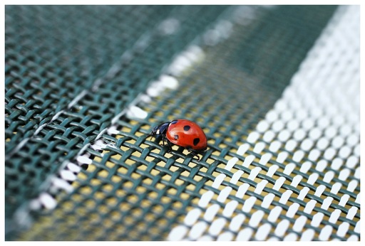 Picavle | Tiere | Babyfotograf auf alleFotografen