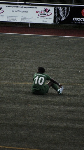 Picavle | Sport | Tierfotograf auf alleFotografen