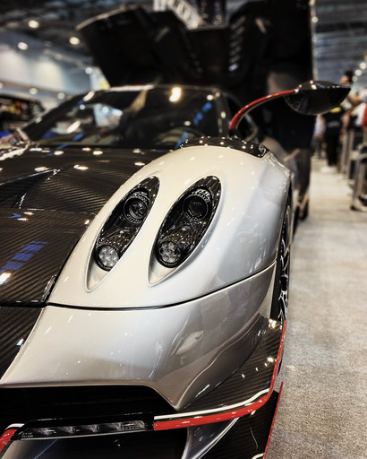 Picavle | Autos | Tierfotograf auf alleFotografen