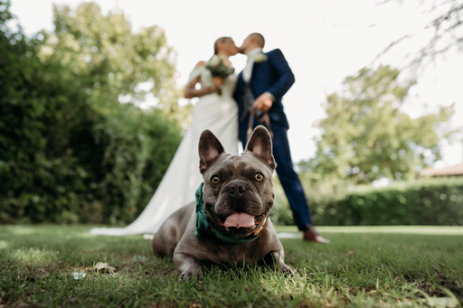 Linda Goldberga Fotografie | Hochzeit | Industriefotograf auf alleFotografen
