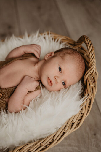 Nicole Grasmann Photography | Babys | Babyfotograf auf alleFotografen