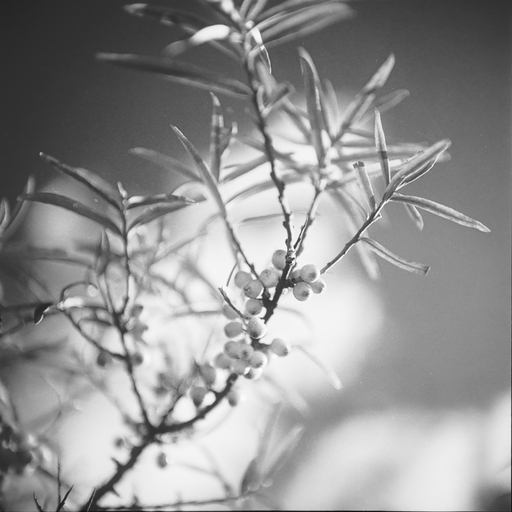 AL_Analog | Meereslandschaften | Architekturfotograf auf alleFotografen