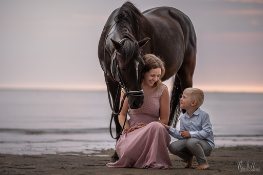 Magicmoment Fotografie | Portfolio | Hundefotograf auf alleFotografen