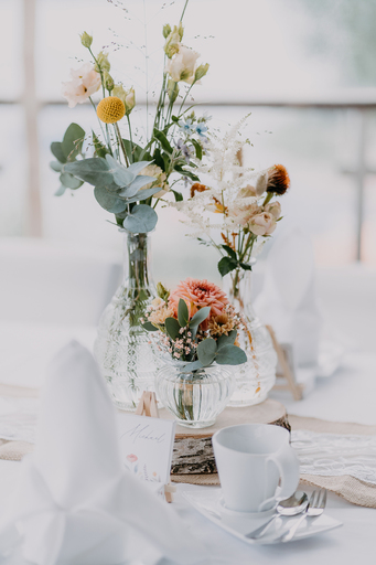 Lichtperle Fotografie | Hochzeit | Tierfotograf auf alleFotografen