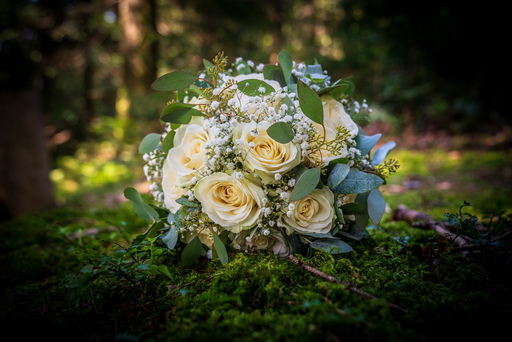 Tinu Müller Fotografie | Hochzeit | Kinderfotograf auf alleFotografen