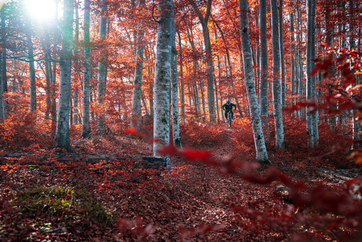 Tinu Müller Fotografie | Sport | Kita- und Schulfotograf auf alleFotografen