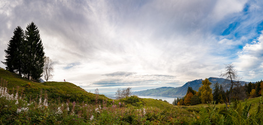 Tinu Müller Fotografie | Sport | Sportfotograf auf alleFotografen