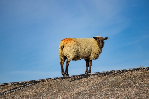 Alexander Bohnsack | Landschaft | Stockfotograf auf alleFotografen