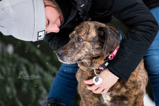 Lisa Bestfleisch | Hundefotografie | Hundefotograf auf alleFotografen