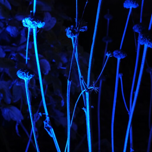 LOCKE art & photodesign | blue | Architekturfotograf auf alleFotografen