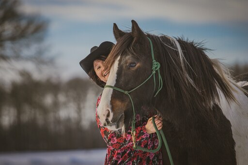Tom's Fotografie  | Pferdefotografie  | Hundefotograf auf alleFotografen