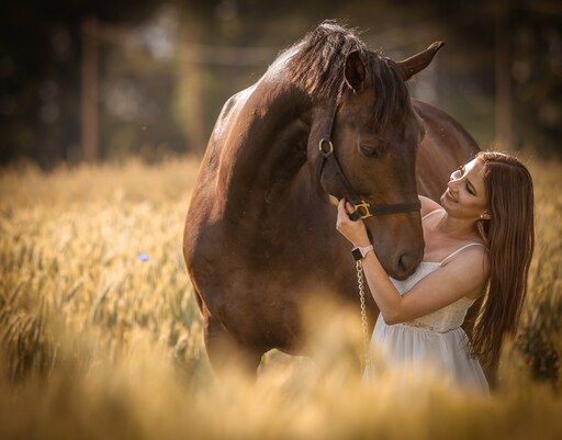 Tom's Fotografie  | Pferdefotografie  | Architekturfotograf auf alleFotografen