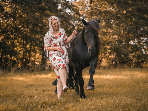 Tom's Fotografie  | Pferdefotografie  | Sportfotograf auf alleFotografen