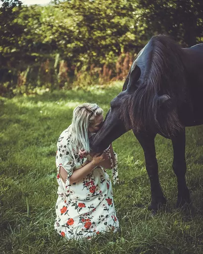 Tom's Fotografie  | Pferdefotografie  | Pferdefotograf auf alleFotografen