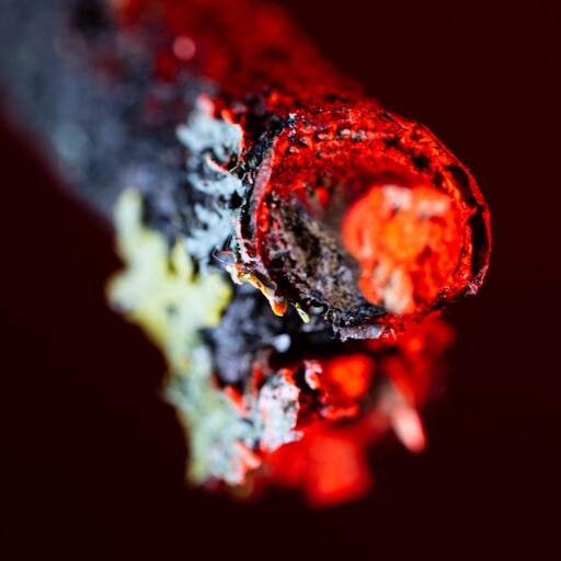 LOCKE art & photodesign | natur | Kunstfotograf auf alleFotografen