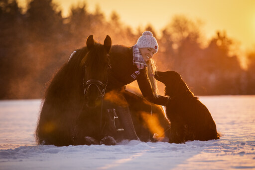 Jenna Theis Photography | Tierfotografie | Pferdefotograf auf alleFotografen