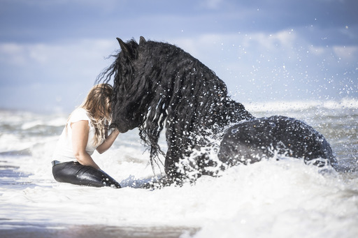Jenna Theis Photography | Tierfotografie | Imagefotograf auf alleFotografen