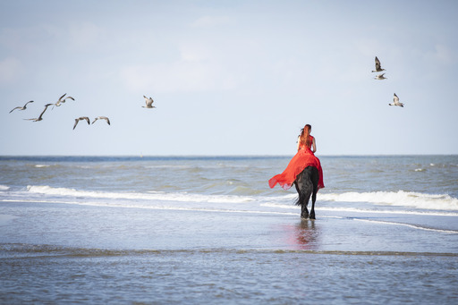 Jenna Theis Photography | Tierfotografie | Tierfotograf auf alleFotografen