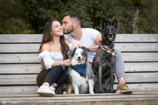 Jenna Theis Photography | Tierfotografie | Pferdefotograf auf alleFotografen