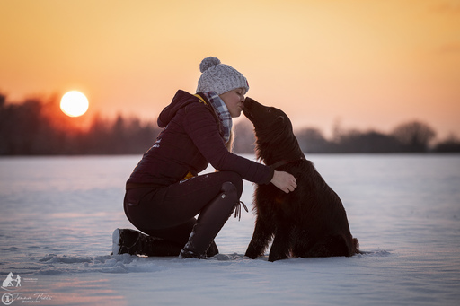 Jenna Theis Photography | Tierfotografie | Werbefotograf auf alleFotografen