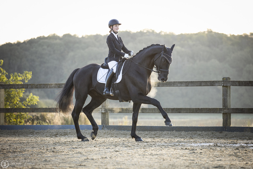 Jenna Theis Photography | Turniere | Hundefotograf auf alleFotografen