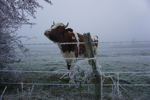 Greenein | Best | Passbildfotograf auf alleFotografen