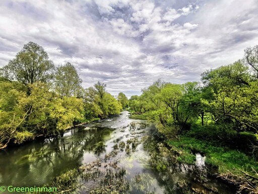 Greenein | Best | Bewerbungsfotograf auf alleFotografen