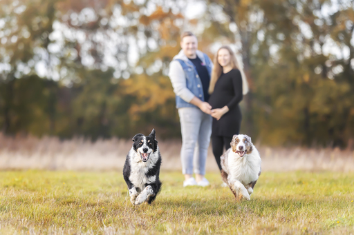 Coopergrafie - Judith Lübeß | Hundefotografie | Paarfotograf auf alleFotografen