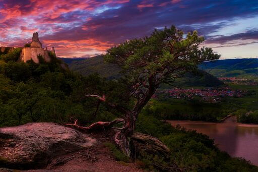 Schenk Mario | Land und Stadt | Tierfotograf auf alleFotografen
