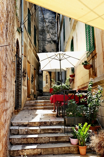 Schenk Mario | Land und Stadt | Hundefotograf auf alleFotografen