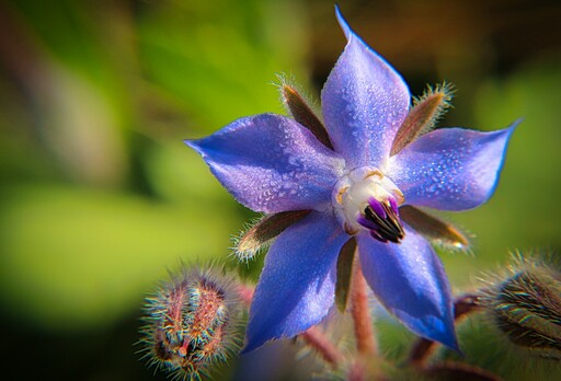 Schenk Mario | Schau mal rein | Kunstfotograf auf alleFotografen